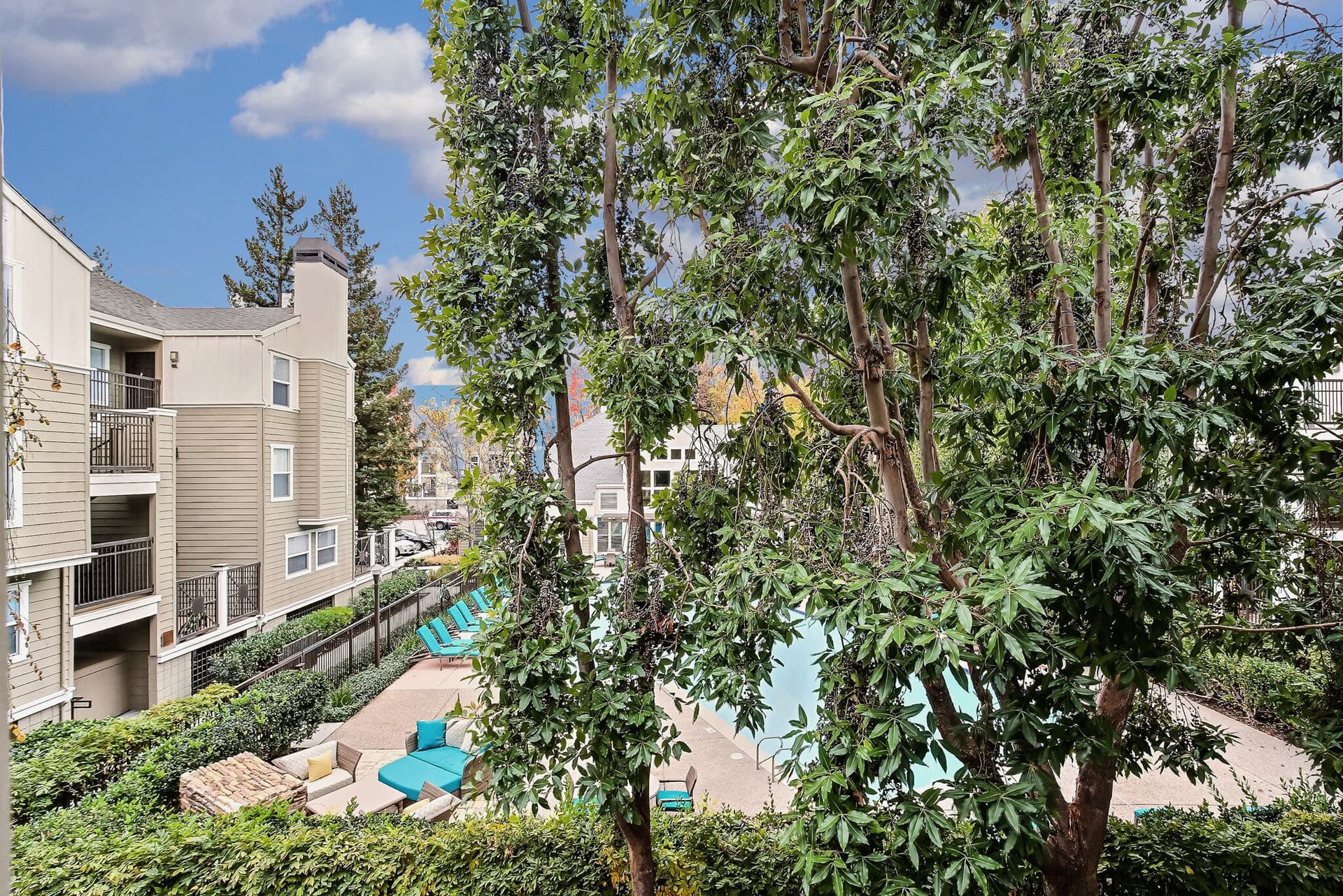 2 Bedroom Apartment Senior 3