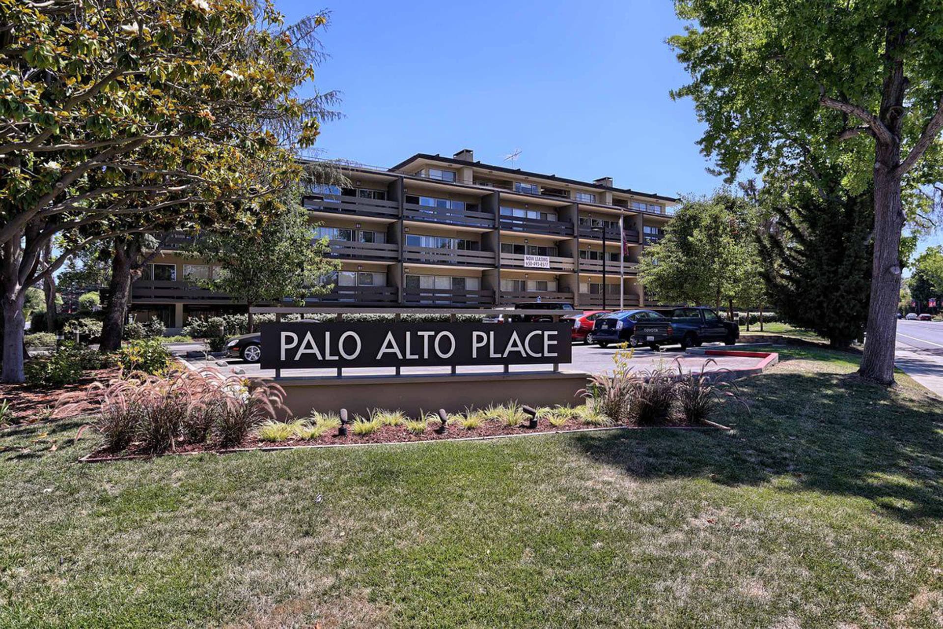 1 Bedroom Apartment Senior 1