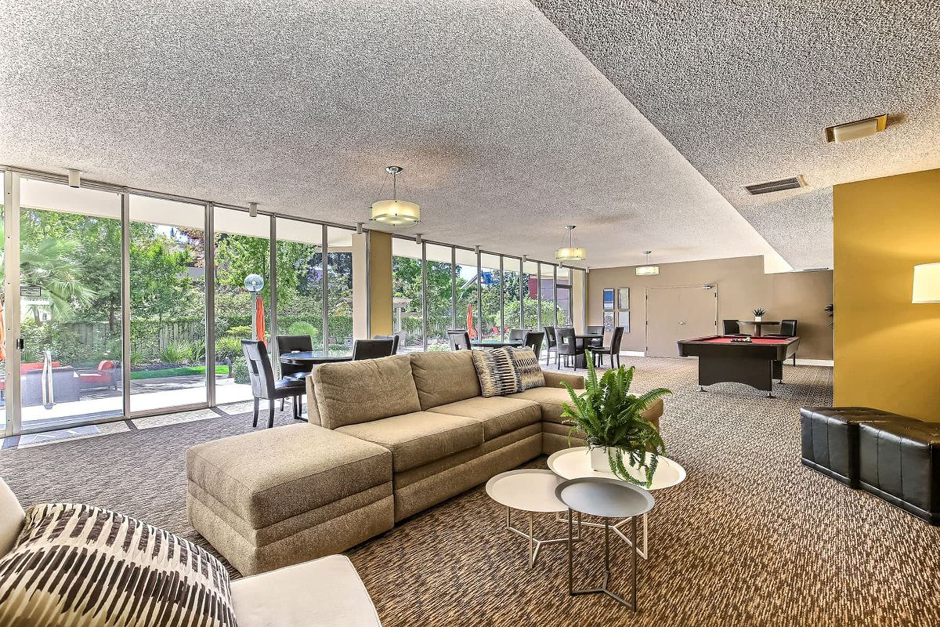 1 Bedroom Apartment Senior 2