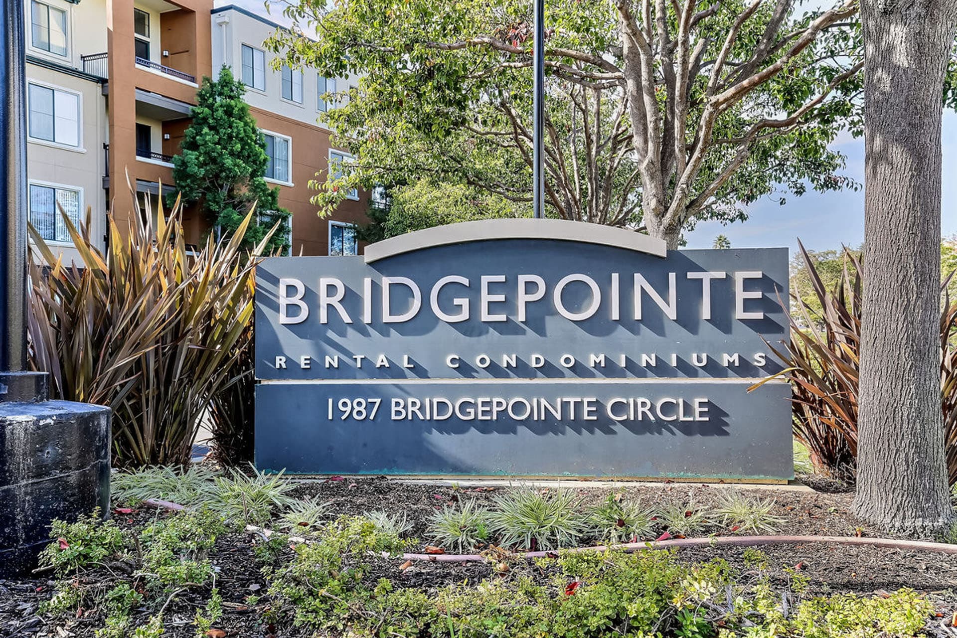1 Bedroom Apartment Senior 1