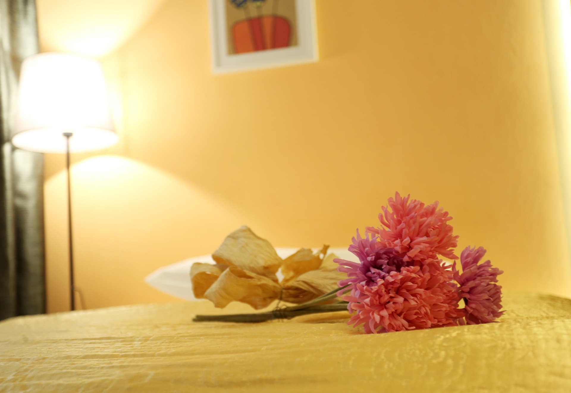 1 Bedroom Apartment Senior 3