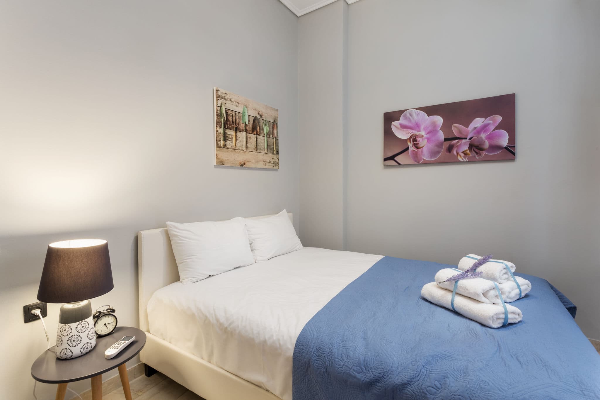 1 Bedroom Apartment Junior 2