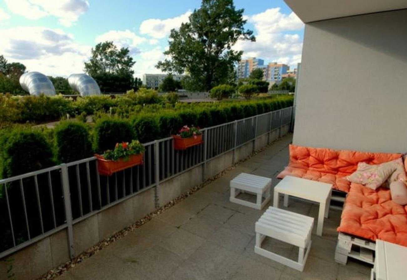 2 Bedroom Apartment Junior 1