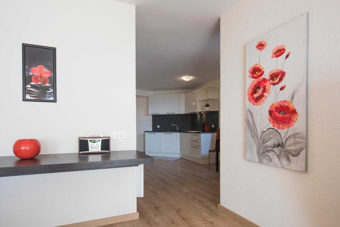 Studio Apartment Senior  1