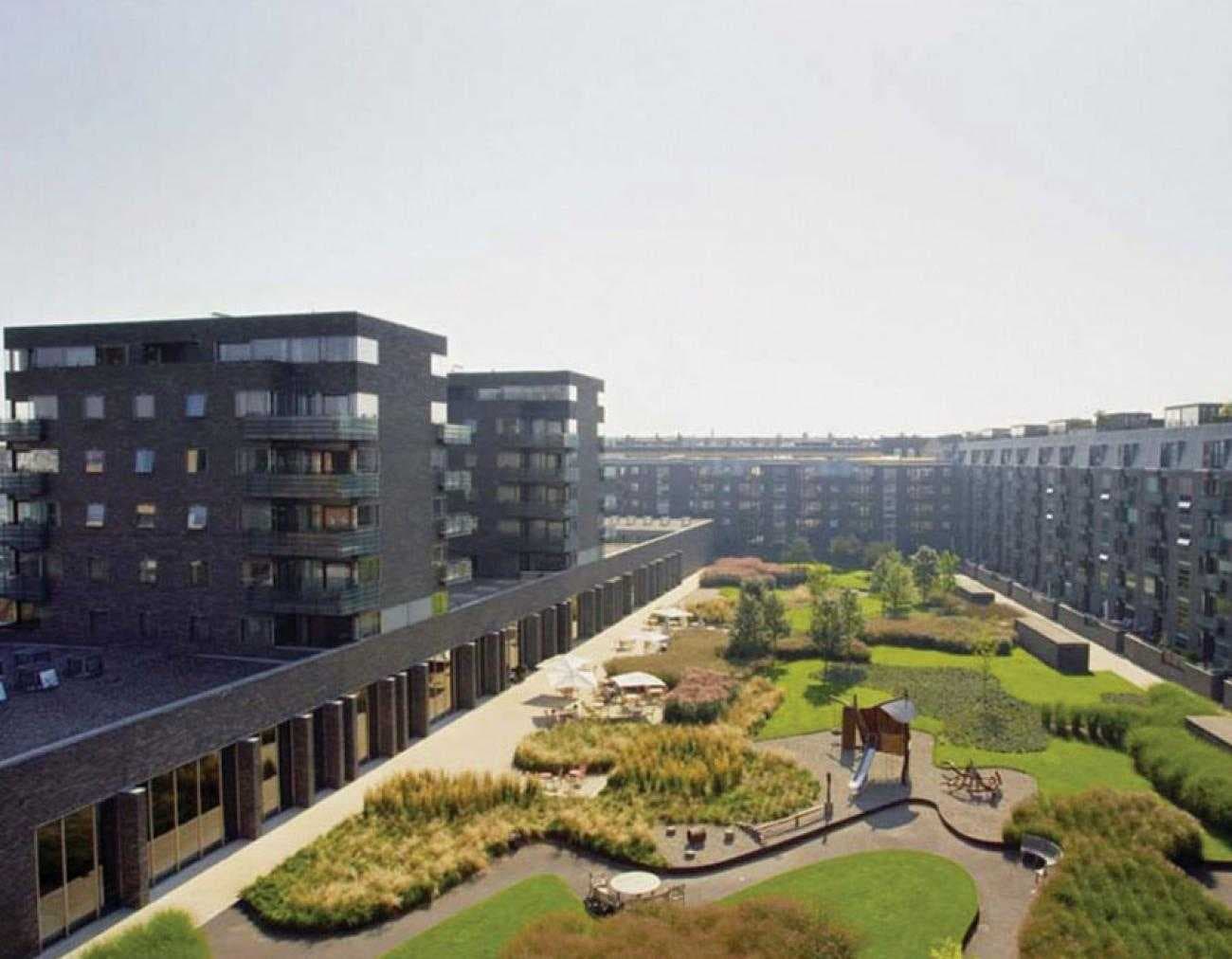1 Bedroom Apartment Senior 2