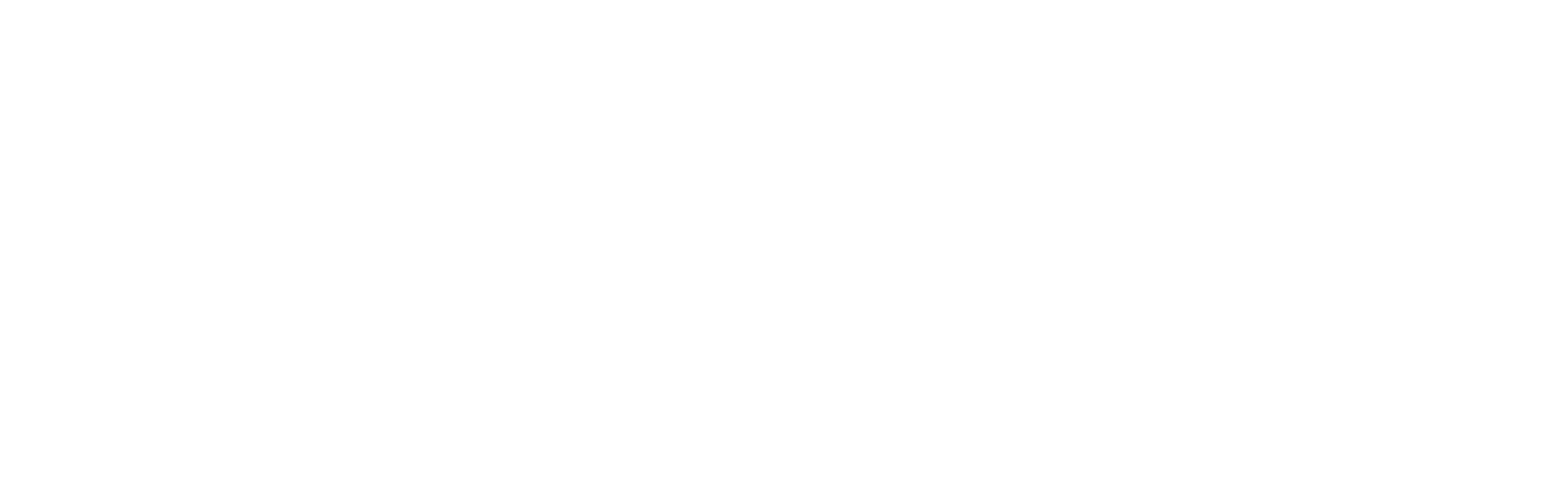 VISIONAPARTMENTS logo white